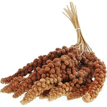 Pro ptáka Apetit Senegalské proso v klasech červené 100 g