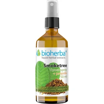 Ústní sprej BIOHERBA Sprej do krku ruj vlasatá a propolis 50 ml
