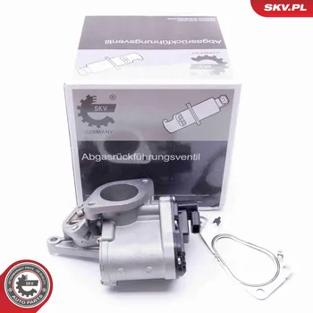 Ventil palivového systému AGR-Ventil ESEN SKV 14SKV165