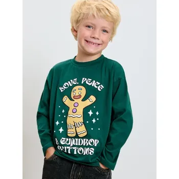 Sinsay - Tričko s dlouhým rukávem Shrek - zelená - 647CB-67X - 647CB-67X-104