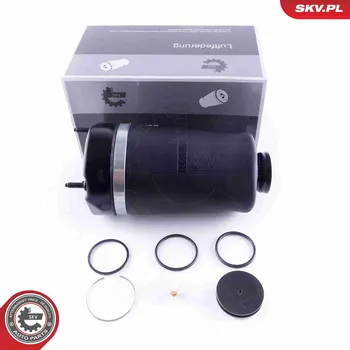 Vzduchová pružina, podvozek ESEN SKV 58SKV042