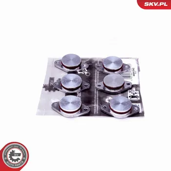 Nářadí pro automobil Sada na opravu, modul sacího potrubí ESEN SKV 49SKV542