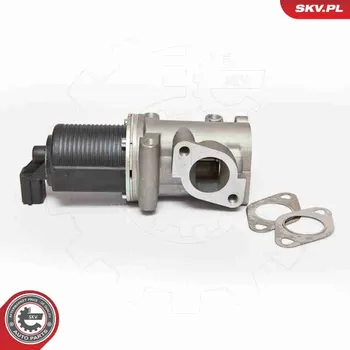 Ventil palivového systému AGR-Ventil ESEN SKV 14SKV076