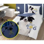 DETEXPOL Povlečení Border kolie svítící Bavlna, 140/200, 70/80 cm