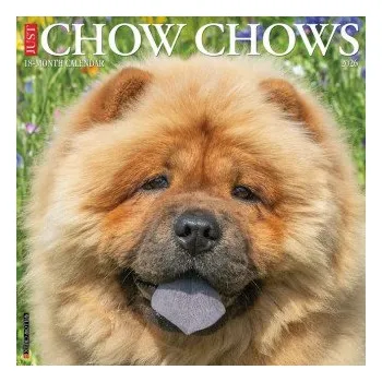 Kalendář Chow Chows 2026 12 X 12 Wall Calendar (Brožovaná)