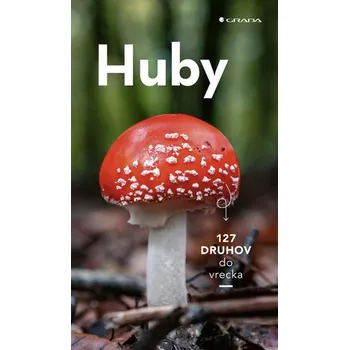 Umění Markus Flück