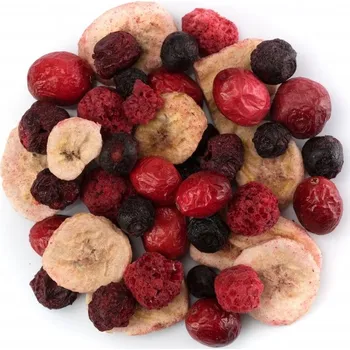 Sušené ovoce LyoN směs borůvková Množství: 100 g