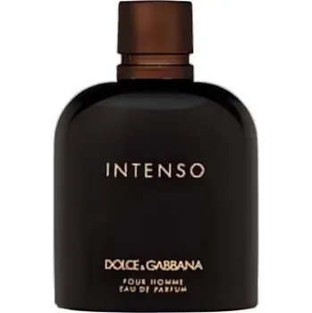 Pánský parfém Dolce & Gabbana Pour Homme Intenso EDP M 200 ml