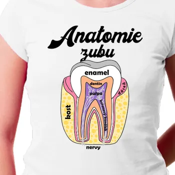 Tričko Zdravotní sestry | Dámské tričko Anatomie zubu