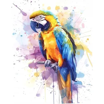 Malování podle čísel 40x50cm Papoušek /Koh-I-Noor