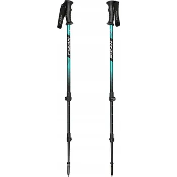 Trekingová hůl Trekkingové hole Fizan Voyager - petrol