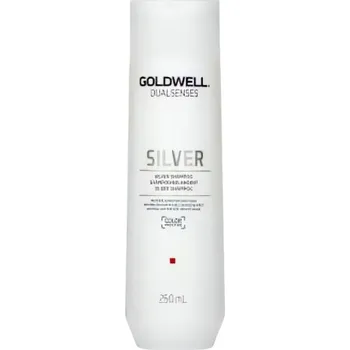 Vlasová kosmetika Goldwell Dualsenses Silver Shampoo 250 ml