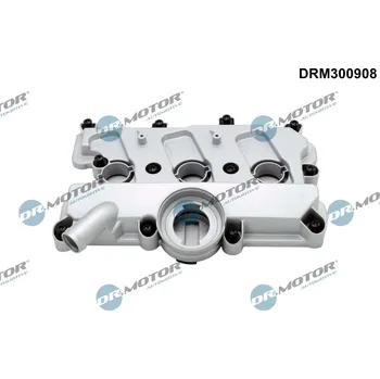Motor automobilu Kryt hlavy válce Dr.Motor Automotive DRM300908