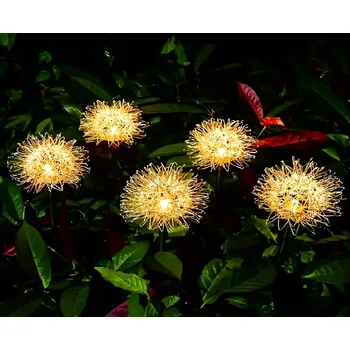 Venkovní osvětlení Solární lampa zapichovací GardenLine bílá 68 cm 1 ks