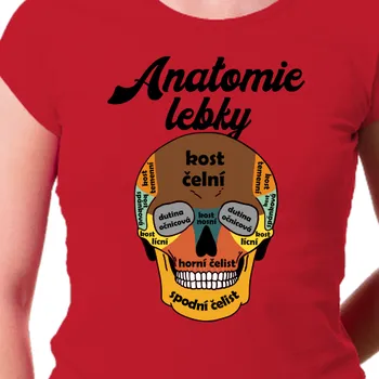 Tričko Zdravotní sestry | Dámské tričko Anatomie lebky
