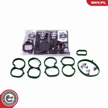 Nářadí pro automobil Sada na opravu, modul sacího potrubí SKV 49SKV512