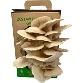 Substrát PLANTO PO-6L-HU Hlíva ústřičná 6 l (Pleurotus ostreatus) MUSHROOMS GROW KIT