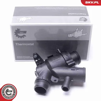 Těsnění motoru Termostat, chladivo SKV 20SKV169