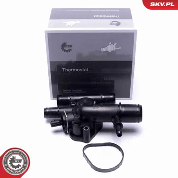 Těsnění motoru Termostat, chladivo SKV 20SKV204