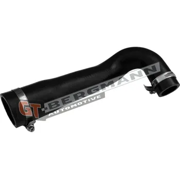 Turbodmychadlo Hadice plnícího vzduchu GT BERGMANN GT52-892