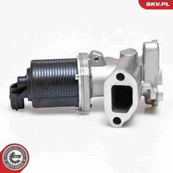 Ventil palivového systému AGR-Ventil ESEN SKV 14SKV040