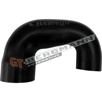 Turbodmychadlo Hadice plnícího vzduchu GT BERGMANN GT52-879