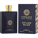 Versace Pour Homme Dylan Blue SG 250 ml M