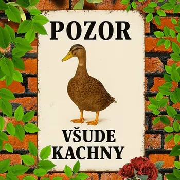 Plechová cedule BAF 2D plechová cedule Kam se podíváš tam jsou 20 x 30 cm