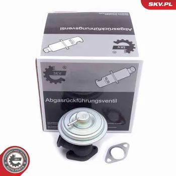 Ventil palivového systému AGR-Ventil ESEN SKV 14SKV203