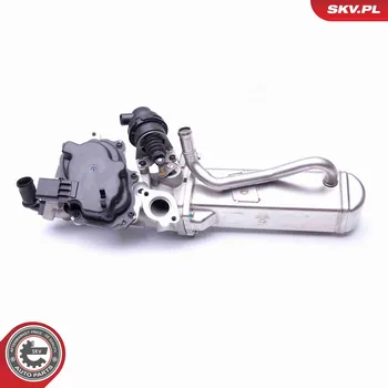 Ventil palivového systému AGR-Ventil ESEN SKV 14SKV158