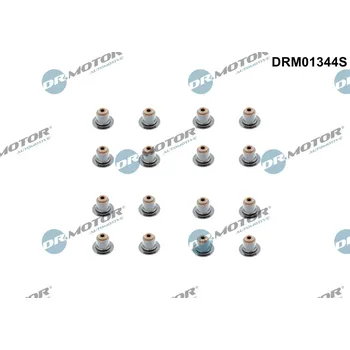 Motor automobilu Sada těsnění dříku ventilů Dr.Motor Automotive DRM01344S