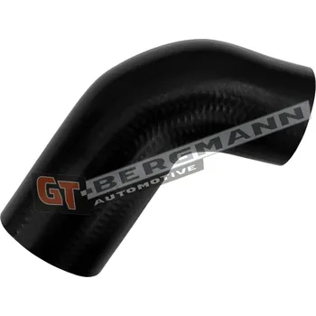 Turbodmychadlo Hadice plnícího vzduchu GT BERGMANN GT52-881