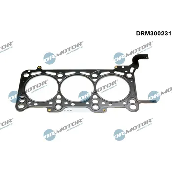 Auto-moto Těsnění hlavy válce Dr.Motor Automotive DRM300231