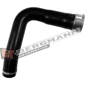 Turbodmychadlo Hadice plnícího vzduchu GT BERGMANN GT52-796