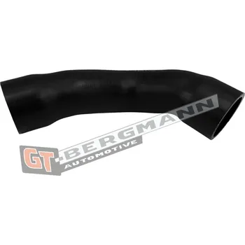 Turbodmychadlo Hadice plnícího vzduchu GT BERGMANN GT52-883