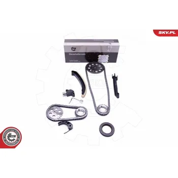 Rozvod motoru Sada rozvodového řetězu ESEN SKV 21SKV209