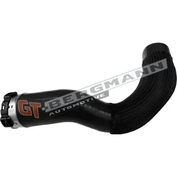 Turbodmychadlo Hadice plnícího vzduchu GT BERGMANN GT52-858
