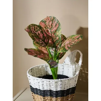 Úložný box Sinsay - Pletený úložný koš - vícebarevná - 886EE-MLC - 886EE-MLC-ONE