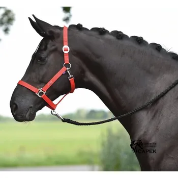 Ohlávka Busse -HANSA- - Černá - Shetty