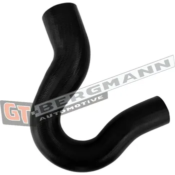 Turbodmychadlo Hadice plnícího vzduchu GT BERGMANN GT52-884