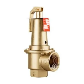 Ventil DUCO Ventil pojistný 2" x 2 1/2", 5bar, membránový 695065.50 free_store_pickup