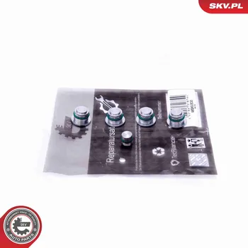 Nářadí pro automobil Sada na opravu, modul sacího potrubí ESEN SKV 49SKV530