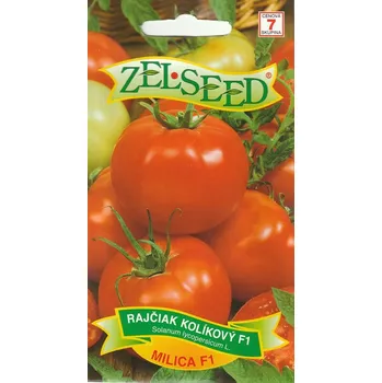 Semeno Rajče tyčkové Milica F1 12/2025