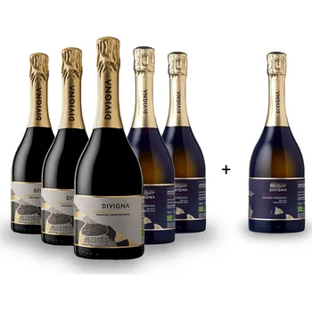 Víno 5+1 Prosecco Superiore DOCG, Brut/Extra Brut, DIVIGNA