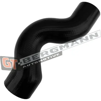 Turbodmychadlo Hadice plnícího vzduchu GT BERGMANN GT52-893