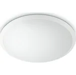 Philips 31823/31/P5 - LED stropní svítidlo WAWEL LED/36W/230V