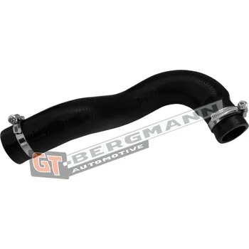 Turbodmychadlo Hadice plnícího vzduchu GT BERGMANN GT52-901