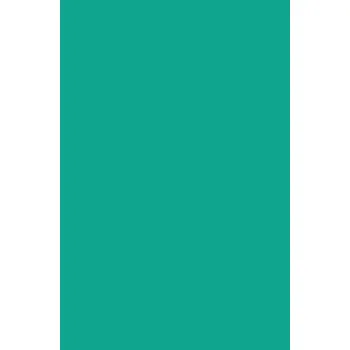 Making Better Decisions Using Systems Thinking - Schaveling, Jaap