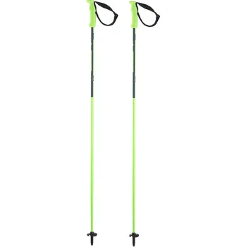 Sjezdová hůlka ELAN LITEROD GREEN Barva: Zelená, Velikost: 110