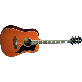 Akustická kytara EKO Ranger XII VR Natural Top Stained